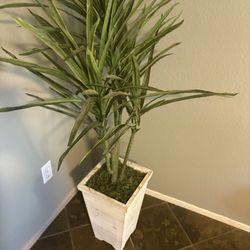 Fake Plant 