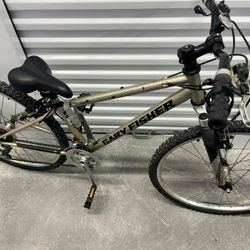 Adult Bike