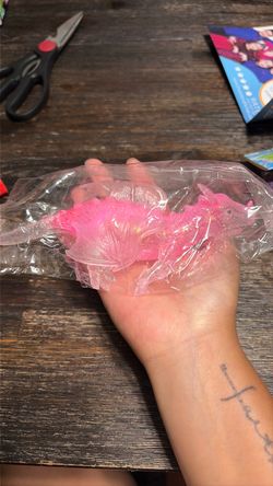Pink Dragon Squishy