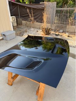 Challenger Hellcat hood