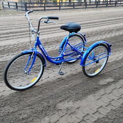 GoPlus 3 Wheel Bike (For Trade)