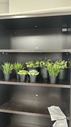 Decorative Plants House/Office Decor
