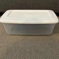 Sterilite Shoe Organizer