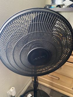 Fan