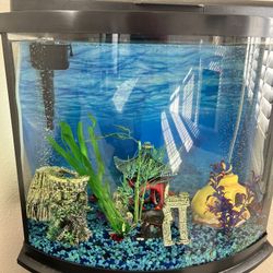 16 Gallon Fish Tank with Stand