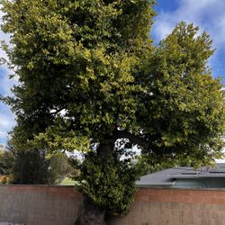 Podar ..! Experience 