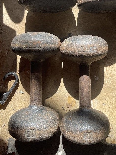 PAIR OF 15 LB. YORK DUMBBELLS