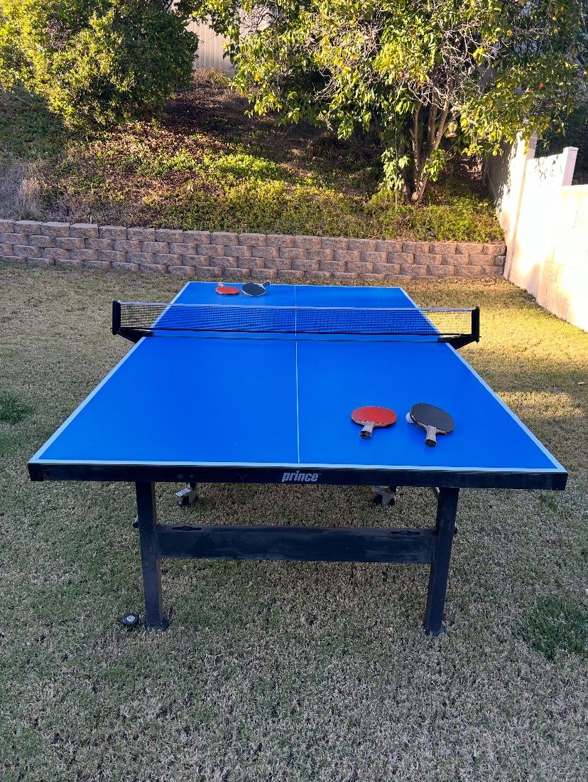 Ping Pong Table