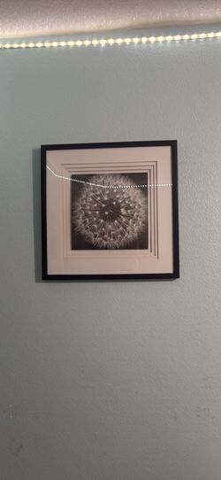 Flower framed pictures