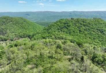 Land: would Buy Hampshire Hardy Mineral