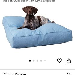 New Dog Bed 
