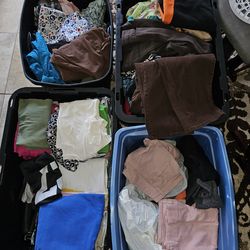 Great for resellers – bulk deal available. Assorted