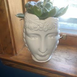 Planter Ceramic With Large Succulent 