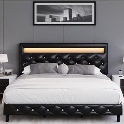 Queen Bed Frame with LED Lights, Faux Leather Low Profile Platform Bed Frame