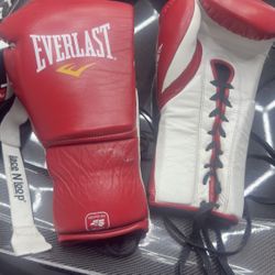 Everlast MX Boxing Gloves