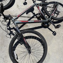 1 Nishiki, 1 Beach Cruiser, 1 Stretch Frame 