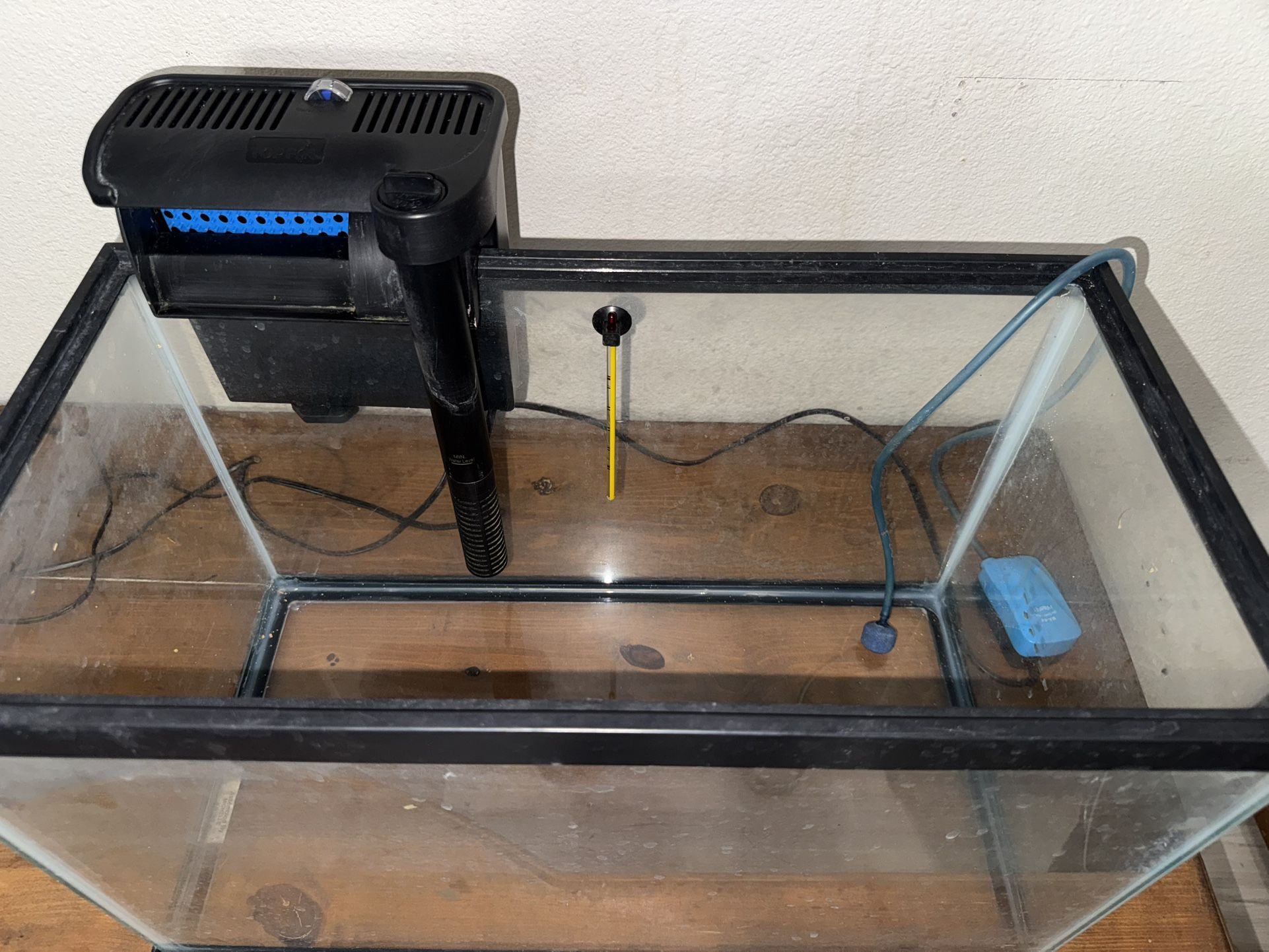 10 Gallon Tank With Filter