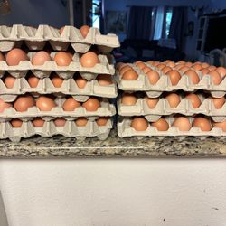 Eggs/huevos 