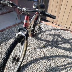 BIKE SPEED 21 MOUNTAIN
