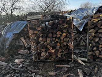 Oak Fire Wood