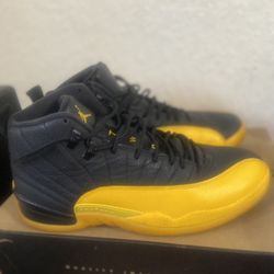 Jordan 12 