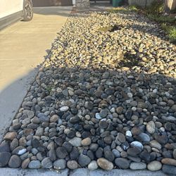 Large River Rocks For Landscaping. FREE. 
