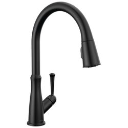 Black Delta Kitchen Faucet