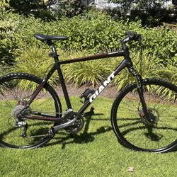 Giant XL / Great Condition