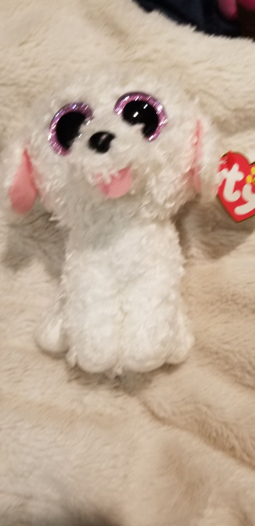 Ty beanie boo pippe