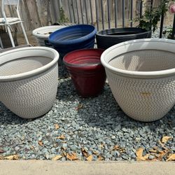 Pots For Plants $20 for all