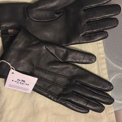  Coach Gloves 