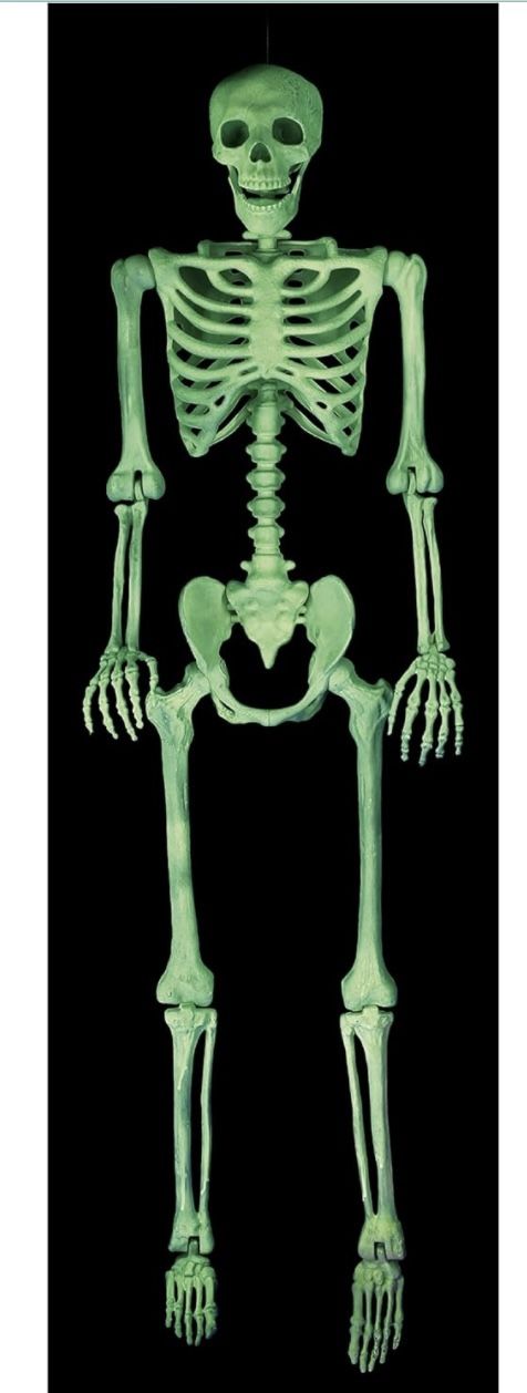 New Crazy Bonez Pose-N-Stay Glow In Da Dark Life Size 5 FT Skeleton w/ Realistic Posable & Movable Joints for Halloween Indoor and Outdoor Decoration