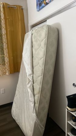 Twin Mattress With Waterproof Sheet 