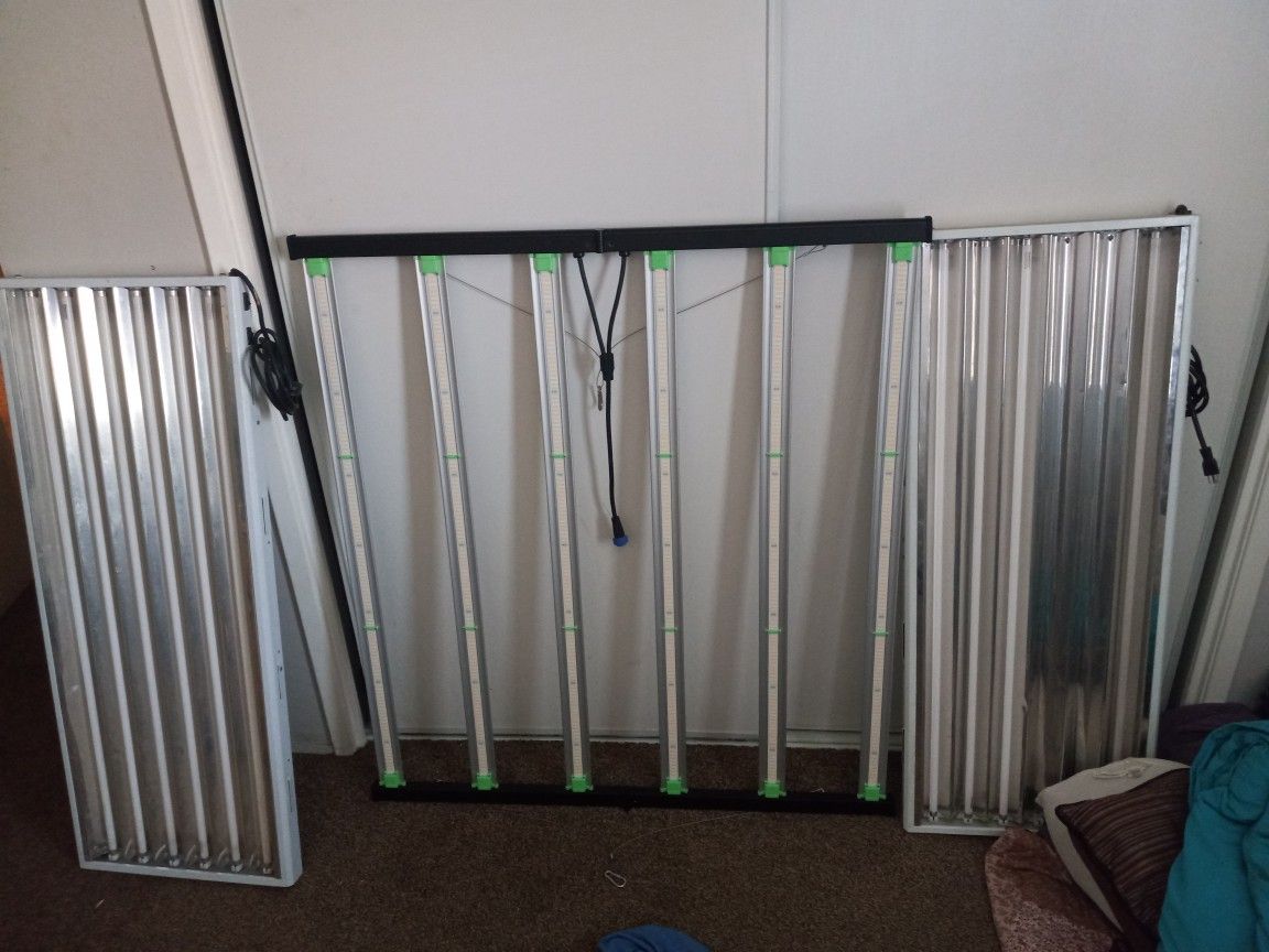 Grow Lights Everything Must Go