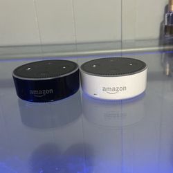 Alexas Dot Black And White 