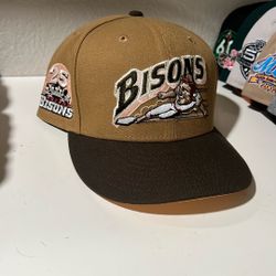 Bisons Exclusive Size 7 