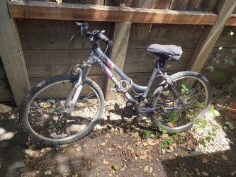 Bikes