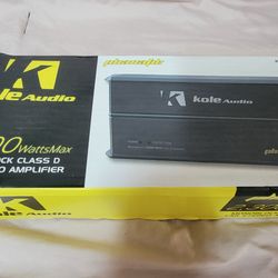 Monoblock amp
