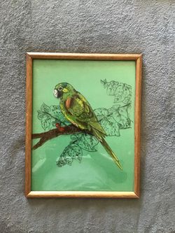 Vintage illustration on reverse glass painting of a green parakeet  11x14 approximately