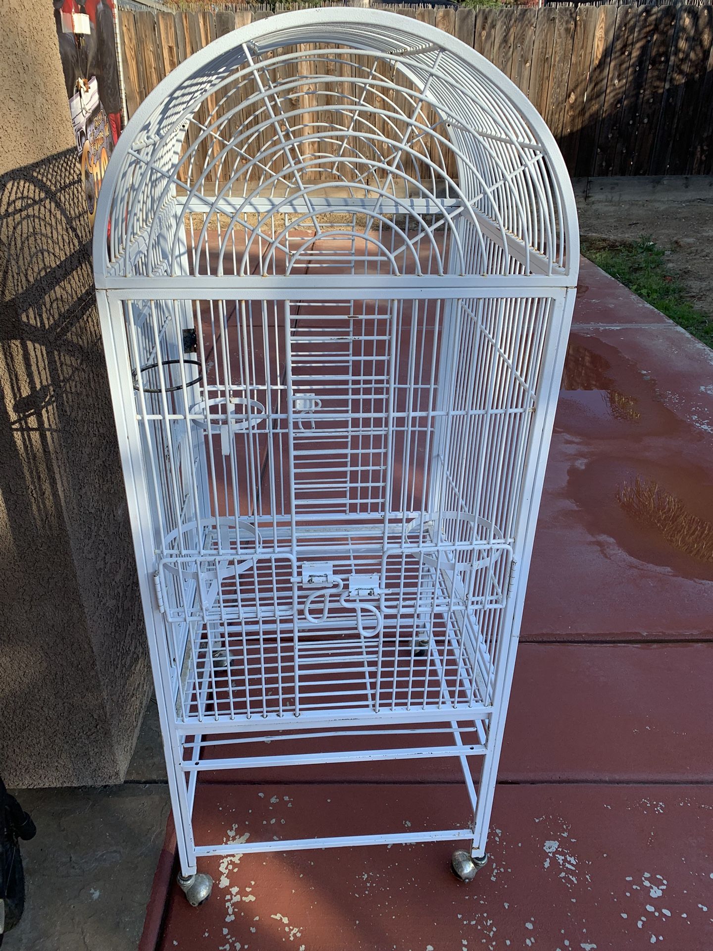 Bird Cage 