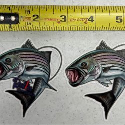 Boat Vehicle Tackle Box Inshore Fishing Fish Decals Stickers