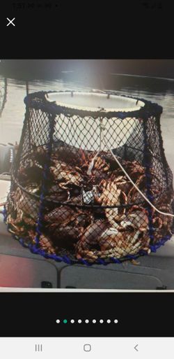 Crab Pots  Dungeness  Trap 