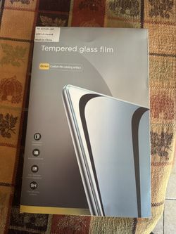 Tesla Screen Protector