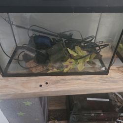 10 Gallon Aquarium Setup Complete