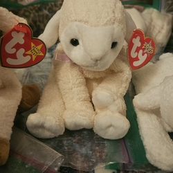 Ty Beanie Babies Lambs