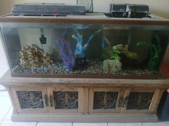 Fish Tank