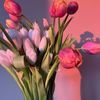 🌷BUY, SELL, & TRADE ALL DAY🌷