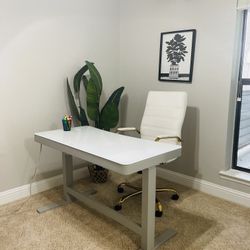 Adjustable Height Office table, Chair  and artificial Plant only for $1000