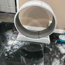 Cat Wheel