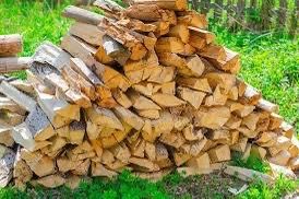 Selling Fire wood